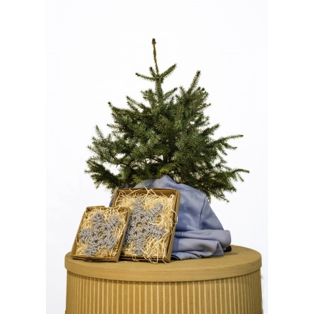 Kalėdinė sidabrinė eglutė vazone (70 cm)